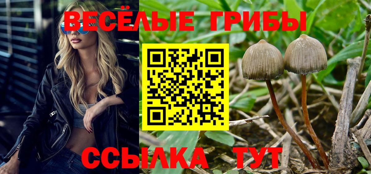 Меф Азнакаево