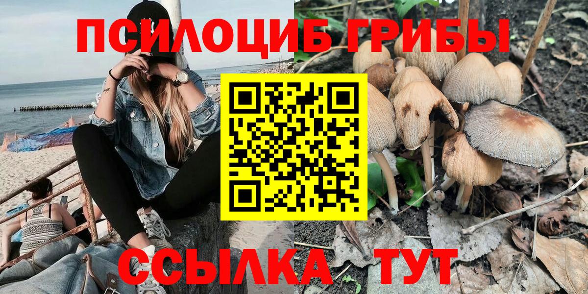 Псилоцибиновые грибы Magic Shrooms  Вход с VPN  Азнакаево 